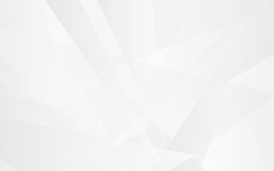 Obraz premium abstract white background, white modern background vector design