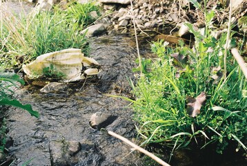필름에 담은 장흥, 전남