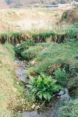 필름에 담은 장흥, 전남
