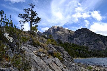 Lonely pine tree on top of rocks with mountain view on lakeside.