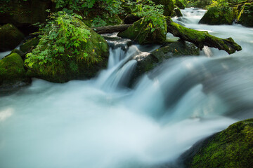 奥入瀬渓流　迫力ある流れ