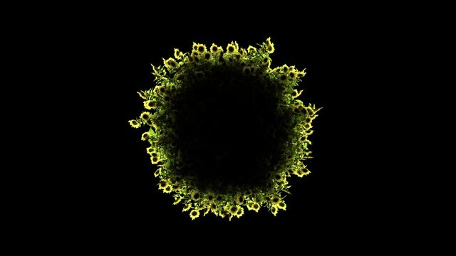 Small planet in a halo of sunflowers on a black background.