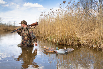 the hunter walks on the water and leads the tied plastic decoys for ducks