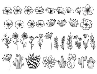 Vector Hand drawn flower and leaf Cactus elements, Vintage flowers doodle collection design, template, wedding card, greeting card, invitation, poster, postcard.