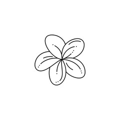 Frangipani Flower in a Trendy Minimalist Liner Style. Vector Tropical Plumeria Flower Illustration