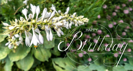 postcard , Internet banner , flat lay with a birthday greeting, with the inscription - happy...