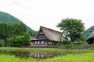 Fototapeta na wymiar 萱葺きの家屋が残る富山の山村