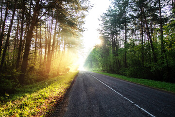 Obraz premium The road going up to the sun among the forest in the early morning