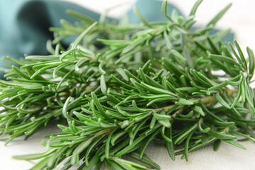Fototapeta premium Fresh rosemary on light background, closeup