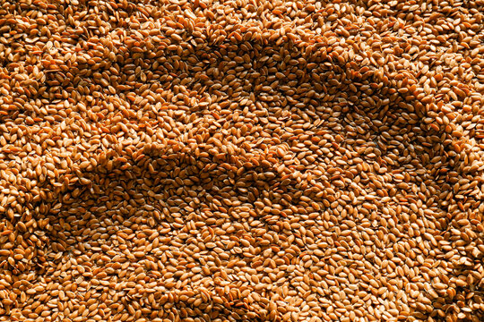 Many flax seeds as background