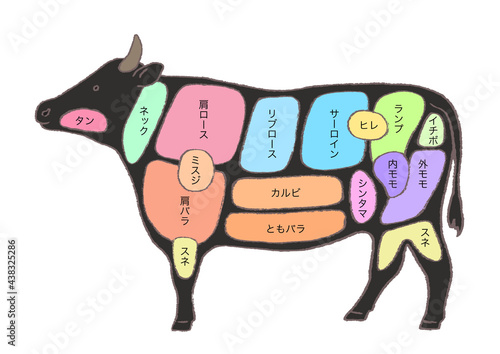 牛肉の部位説明 手描きのイラスト Beef Wall Mural Be モリモリ