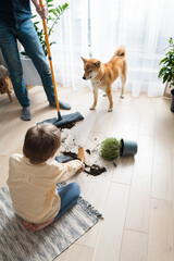 Two brothers cleaning up the mess that their domestic guilty dog made. Pet Damage concept