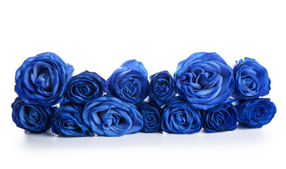 Beautiful blue roses on white background