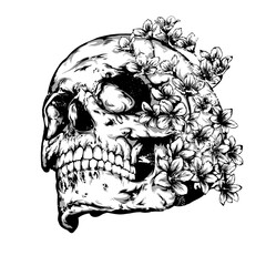 Skull covered with flowers vintage vector art