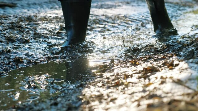 Close-up of male feet walking in marshland in rubber boots.