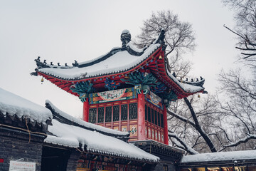 pavilion in the park