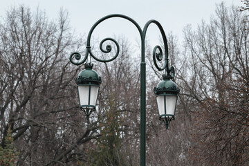 Lamp post at park. Antique street light. Old lantern at autumn nature. City lamppost decoration....