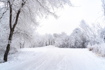 Fototapeta na wymiar winter road in the forest
