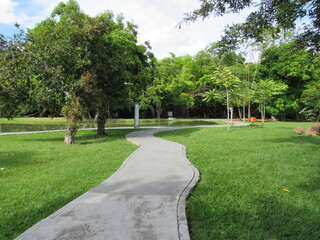Green pathway