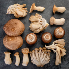 Mushrooms varieties on dark background. Delicious and nutritious ingredients for vegan food.