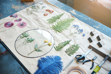 Herbarium of various plants and flowers on sheet of paper