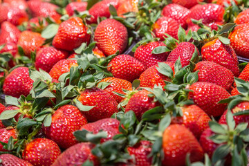 strawberries in a market