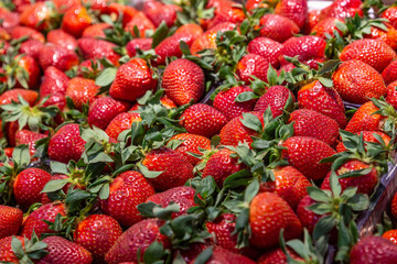 strawberries in a market