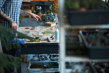 Young man herbalist making herbarium in workshop