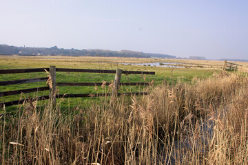 Holkham freshmarsh, Norfolk, UK.