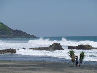 waves on the beach