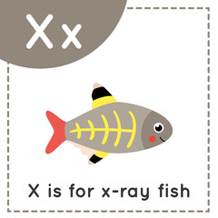 Learning English alphabet for kids. Letter X. Cute cartoon x ray fish.