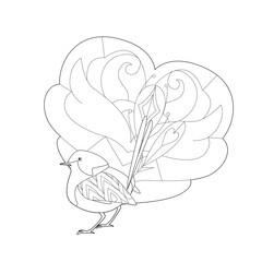 Contour linear illustration with bird for coloring book. Cute paradise bird, anti stress picture. Line art design for adult or kids  in zentangle style and coloring page.