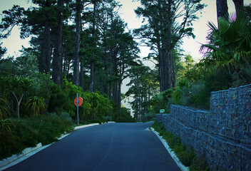 Scenic Entry Route Surrounded By Trees
