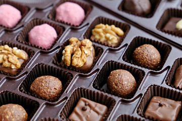 Set of chocolate candy in a gift box. Assorted sweets with walnuts and berries