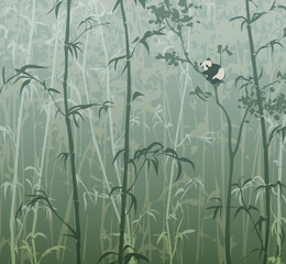 Vector illustration with panda in bamboo forest  - obrazy, fototapety, plakaty