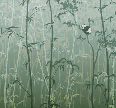 Vector illustration with panda in bamboo forest 