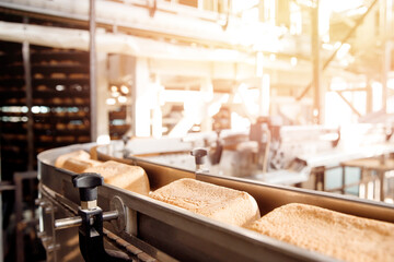 Square fresh bread on conveyor automatic production line bakery after stone oven, sunlight