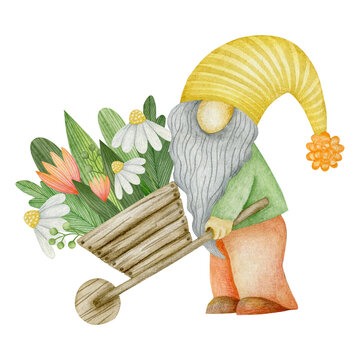 recommend clip art: Watercolor garden gnome carrying flowers on a wheelbarrow isolated on white background.