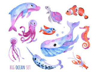 Big sea collection with cute whale, dolphin, narwhal, fish, clownfish, seahorse, turtle, jellyfish, crawfish. Big ocean set of watercolor underwater creatures isolated on white background.