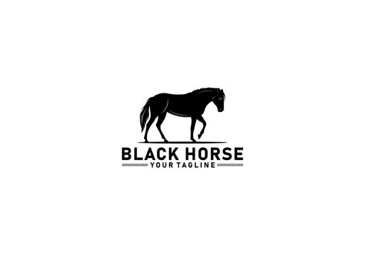 black horse logo in white background