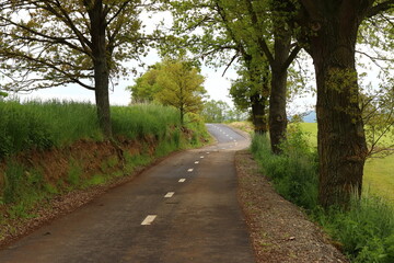 winding narrow asphalt road between fields and trees with a visible dashed line