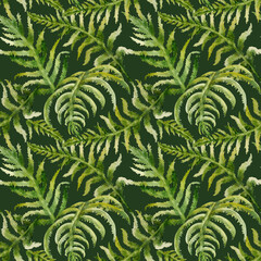 Naklejka na ściany i meble Floral seamless watercolor pattern of forest fern leaves on a dark background. Wild field. Summer illustration for printing