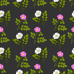 Seamless pattern with cherokee rose and wild prairie rose