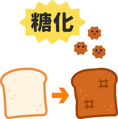 焦げた食パン、糖化のイメージ