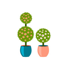 Spherical indoor plants in pots. Bright thorny succulents with flowers in decorative flowerpots. Minimalistic scandinavian design and modern trendy interior. Vector cartoon illustration