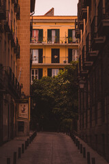 Fototapeta na wymiar Cozy Alleyway Street in Barcelona, Spain