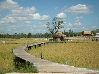 landscape with a house