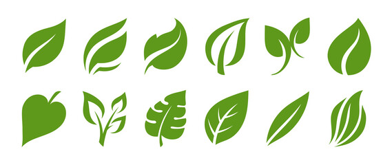 Leaf icons vector. Green leaves logo design collection.