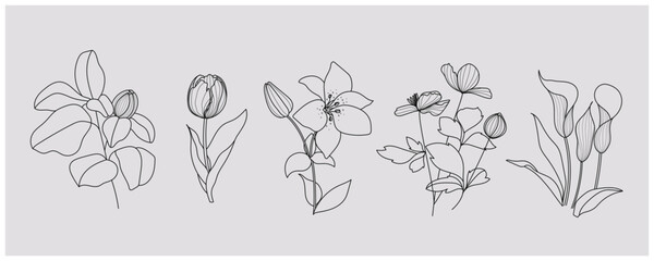 minimal botanical graphic sketch drawing, trendy tiny tattoo design, floral elements vector illustration