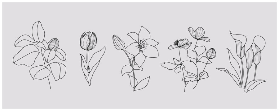 Naklejki minimal botanical graphic sketch drawing, trendy tiny tattoo design, floral elements vector illustration